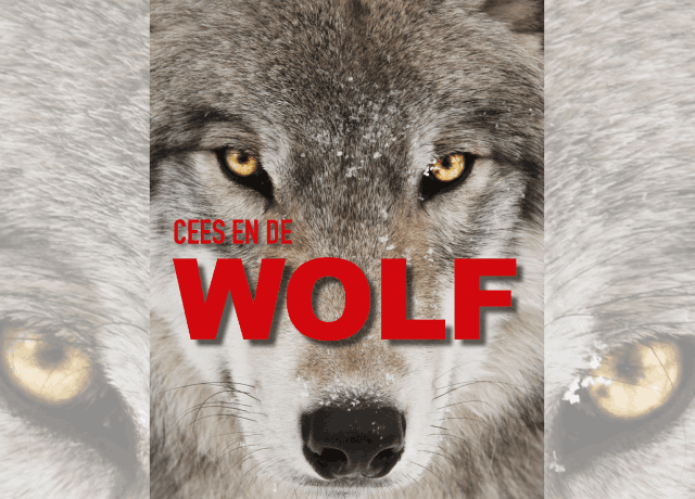 Wolf (6+)